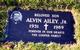  Alvin Ailey Jr.