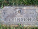  Theodore F. Johnson