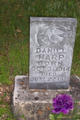  Daniel Harp