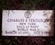  Charles Edward Ferguson Sr.