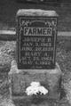  Mary A. <I>Eakens</I> Farmer