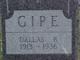  Dallas B. Gipe