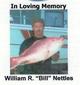 William R. “Bill” Nettles