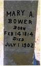  Mary A Bower