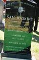  Sam Haskins