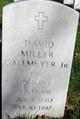  David Miller Gallmeyer Jr.