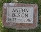  Anton Olson