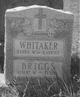  Henry William Whitaker