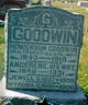  Angerene <I>Davenport</I> Goodwin