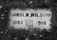  James Harold Wilson