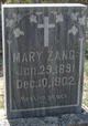  Mary Zang