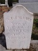  W. C. Falkner Carter