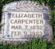  Elizabeth Kendall <I>Wallis</I> Carpenter
