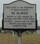  50 Slaves