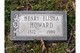 Henry Elisha Howard