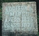  Addison P. Mapes