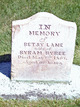  Elizabeth Ann “Betsy” <I>Lane</I> Bybee