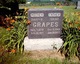  Daisy Dean <I>Davis</I> Grapes