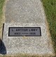  Lewis Arthur Libby