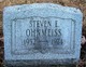  Steven E Ohnmeiss