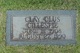  Clay Olus Gillespie