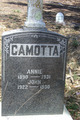  John Camotta