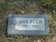  Ann B. <I>Dye</I> Pugh
