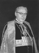 Cardinal Bernardus Johannes Alfrink