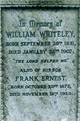  William Whiteley