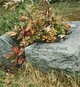 Vermilion County Saving Graves