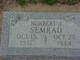 Norbert Semrad