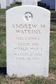 Dr Andrew M Watkins
