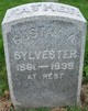  Gustav Adolph Sylvester