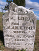  William Logan Wall