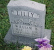  William Burley Lilly