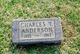  Charles T. Anderson