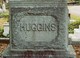 Rev Theophilus Huggins