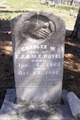  Charles W. Doyel