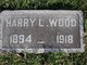  Harry Leo Wood