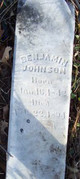 Benjamin Johnson