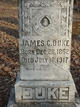  James Cornelius Duke