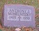  Anthony John Mohelnitzky