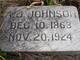  Andrew Jackson Johnson