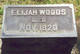  Elijah Woods