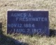  Agnes A. <I>Lewis</I> Freshwater