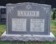  Myer Levine