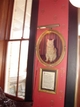  Morris- Resident Cat of The Crescent Hotel