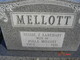  Nellie J. <I>Lanehart</I> Mellott