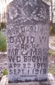  David W Brown