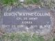  Eldon Wayne Collins